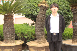 彭召伟：中专毕业再深造，新华圆我动漫梦