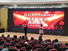 <b>歌舞展风采，欢乐迎新年！</b> 