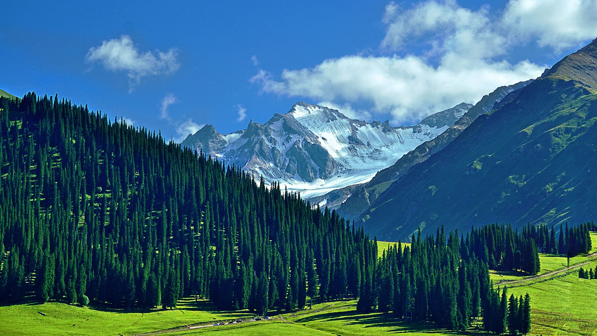 世界自然遗产：新疆天山